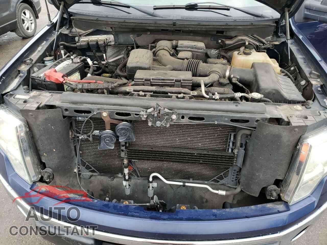 FORD F-150 2010 - 1FTFX1EV0AFA12129
