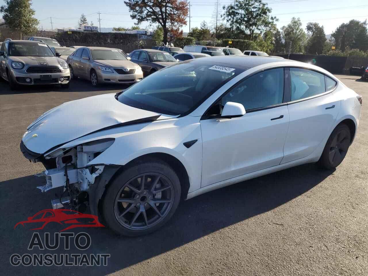 TESLA MODEL 3 2023 - 5YJ3E1EA1PF710543
