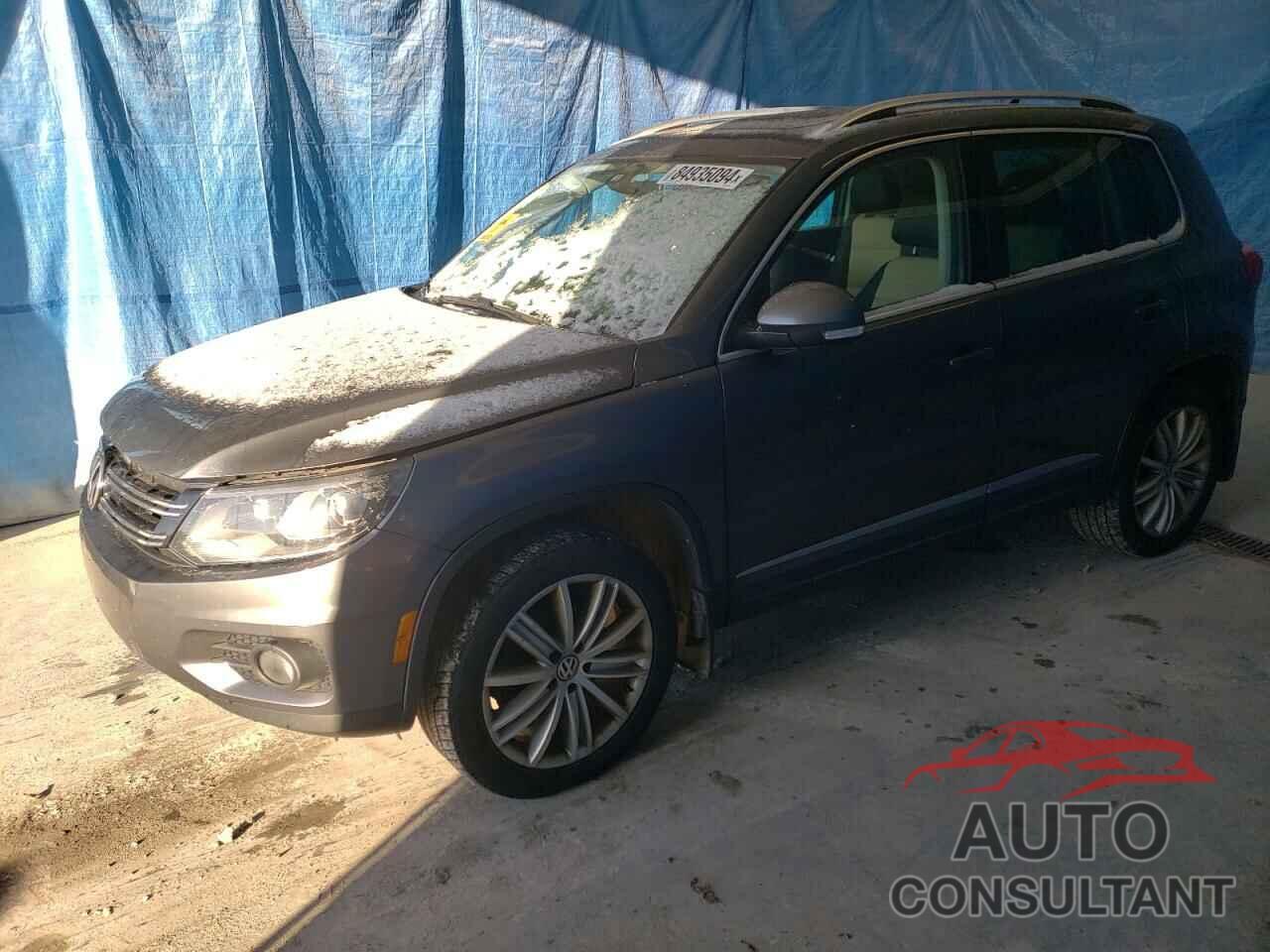 VOLKSWAGEN TIGUAN 2016 - WVGBV7AXXGW574445