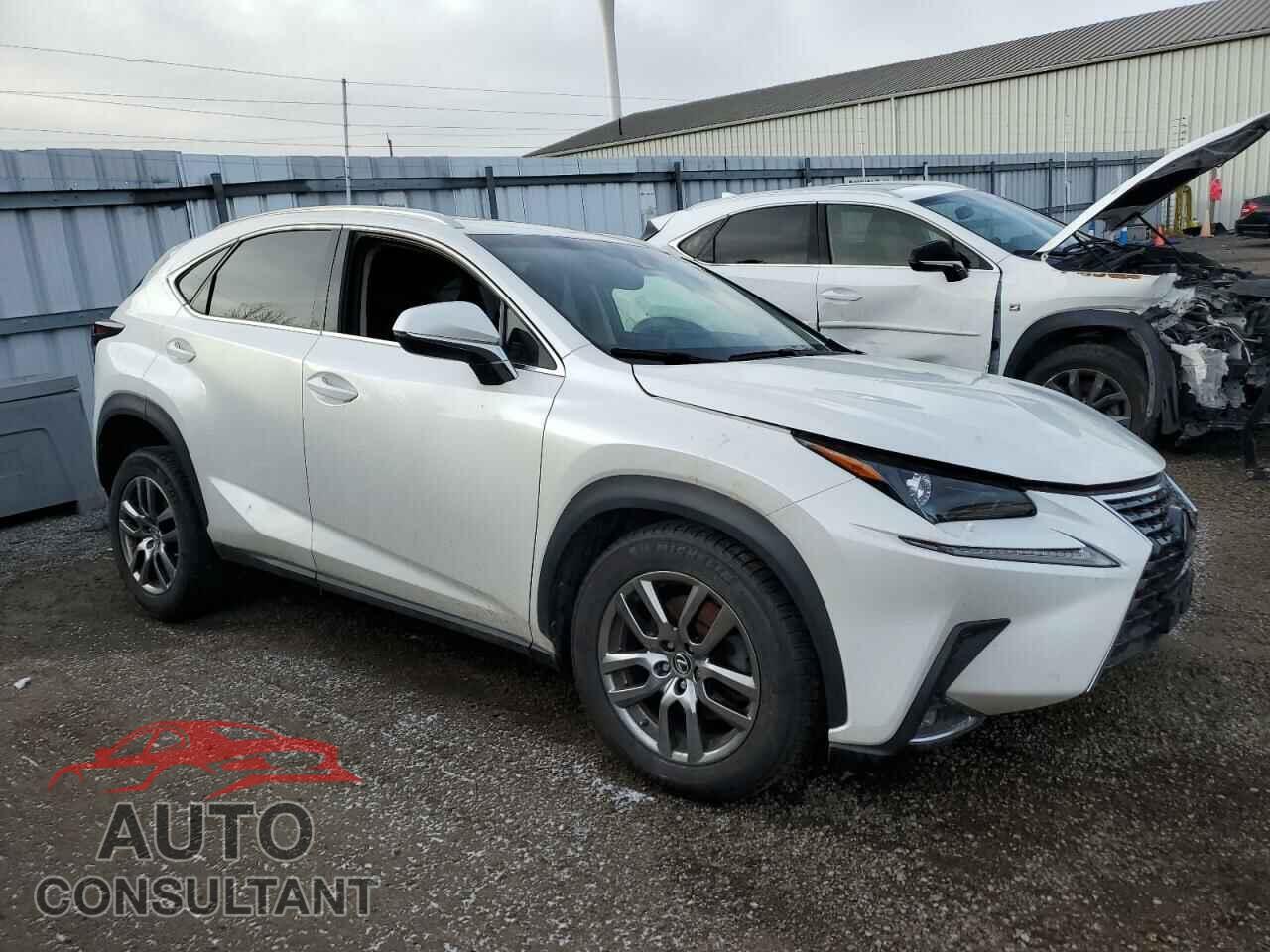 LEXUS NX 2019 - JTJBARBZ5K2207204