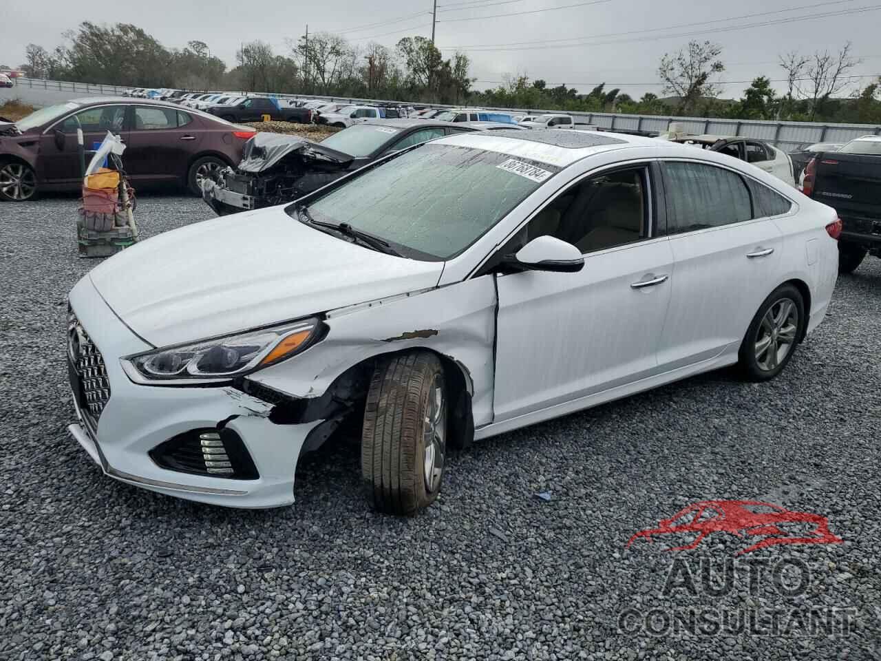 HYUNDAI SONATA 2019 - 5NPE34AF5KH794524