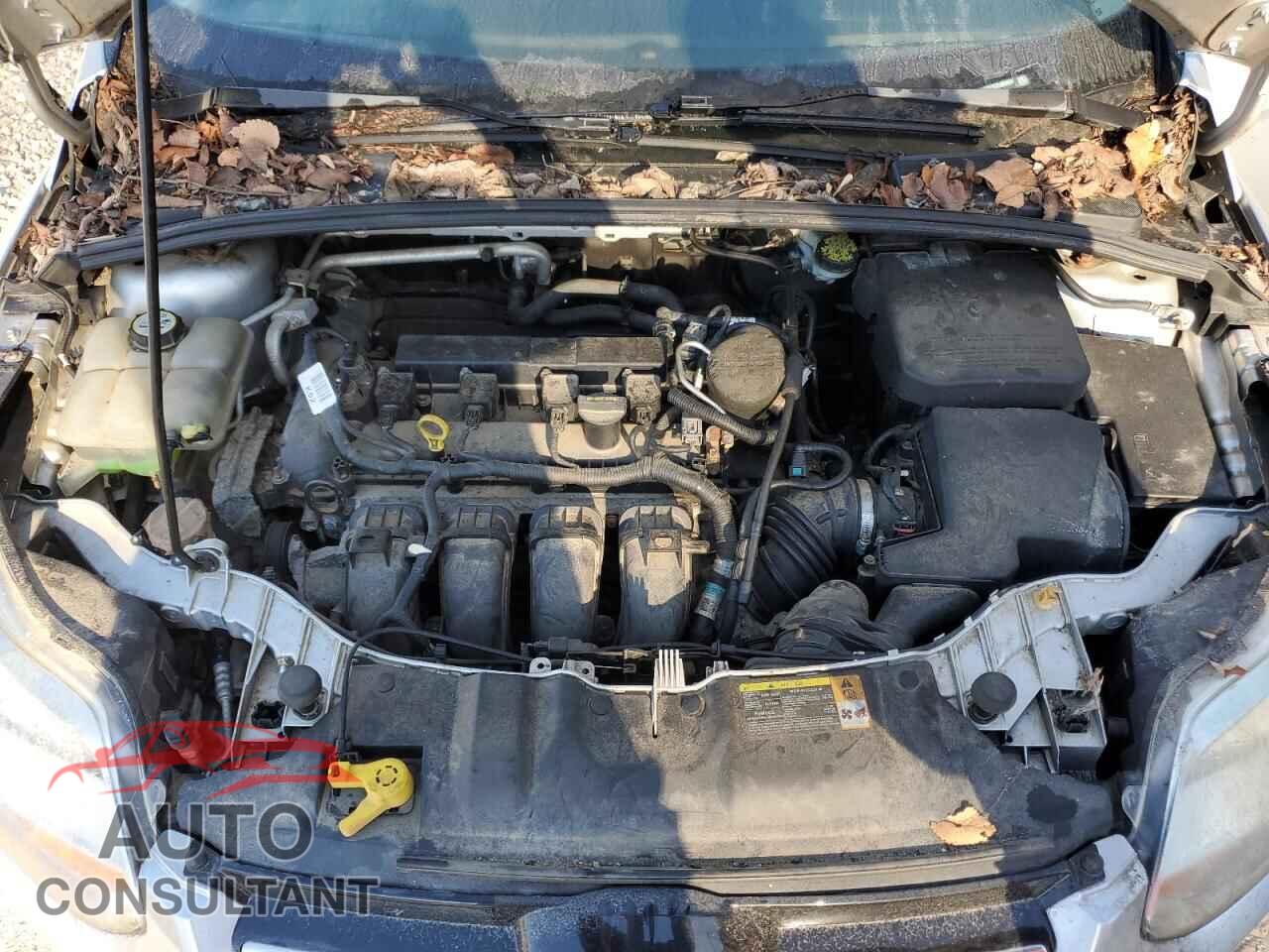 FORD FOCUS 2012 - 1FAHP3F25CL399084