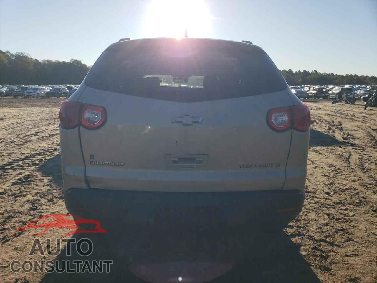 CHEVROLET TRAVERSE 2009 - 1GNER23D09S176464