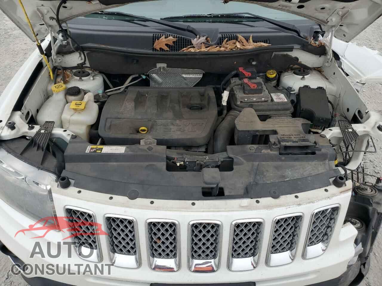 JEEP COMPASS 2014 - 1C4NJCEBXED818821