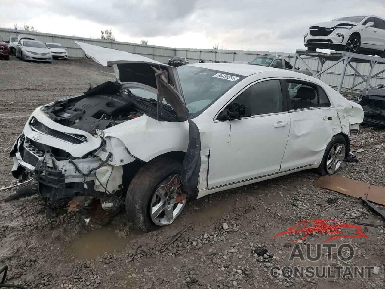 CHEVROLET MALIBU 2010 - 1G1ZC5EB5A4144622