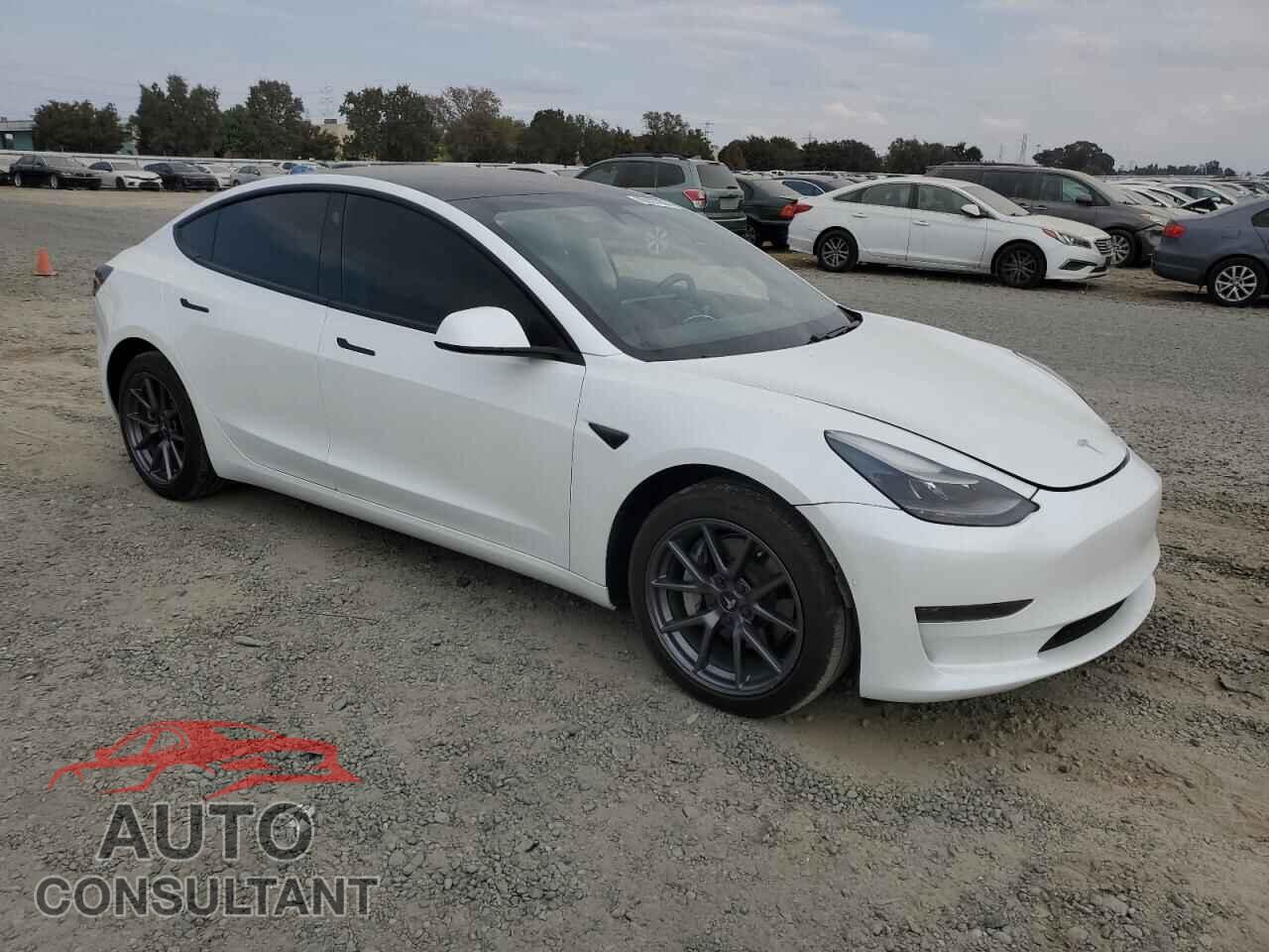 TESLA MODEL 3 2021 - 5YJ3E1EA5MF063527