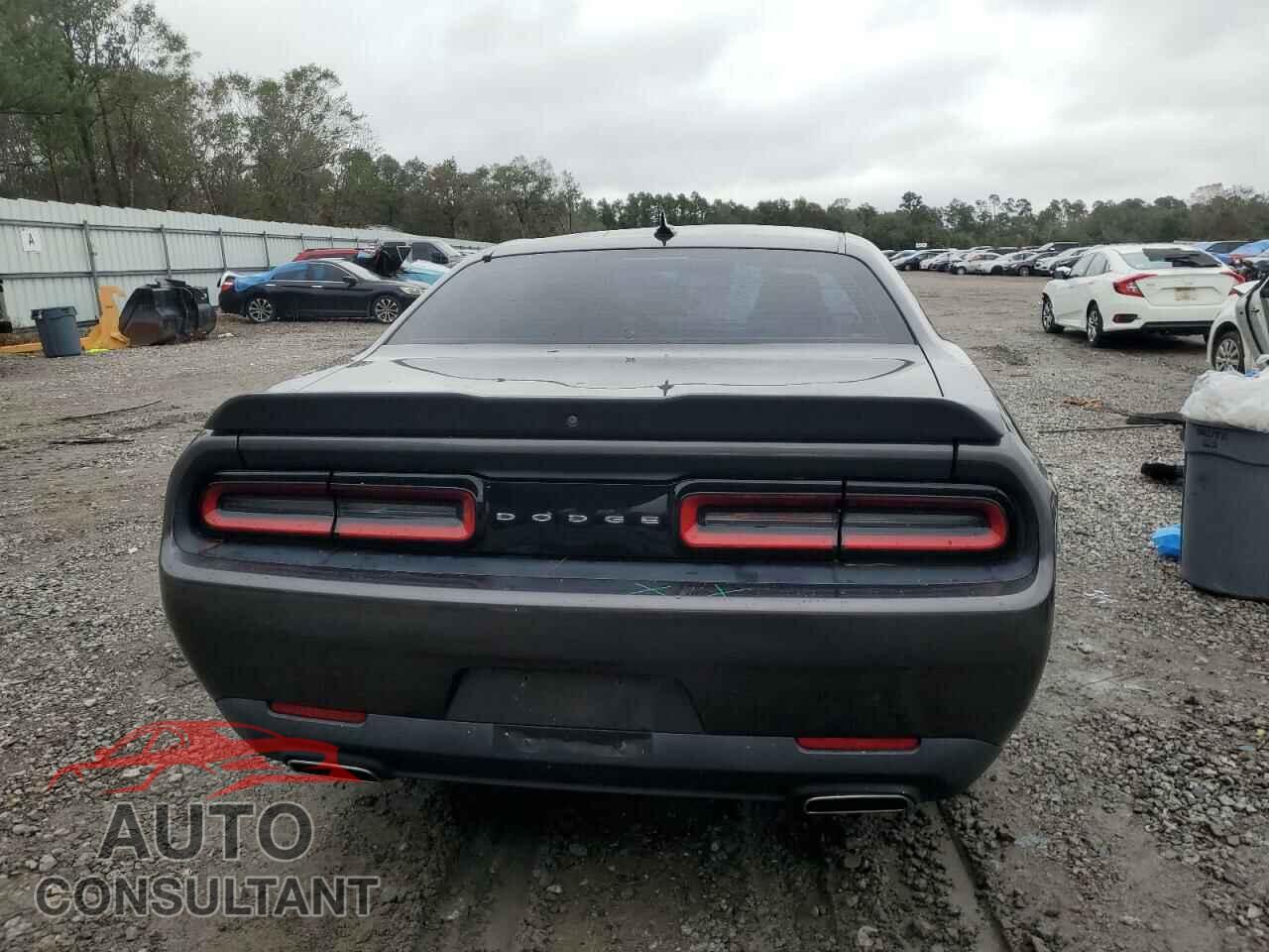DODGE CHALLENGER 2019 - 2C3CDZAG2KH621258