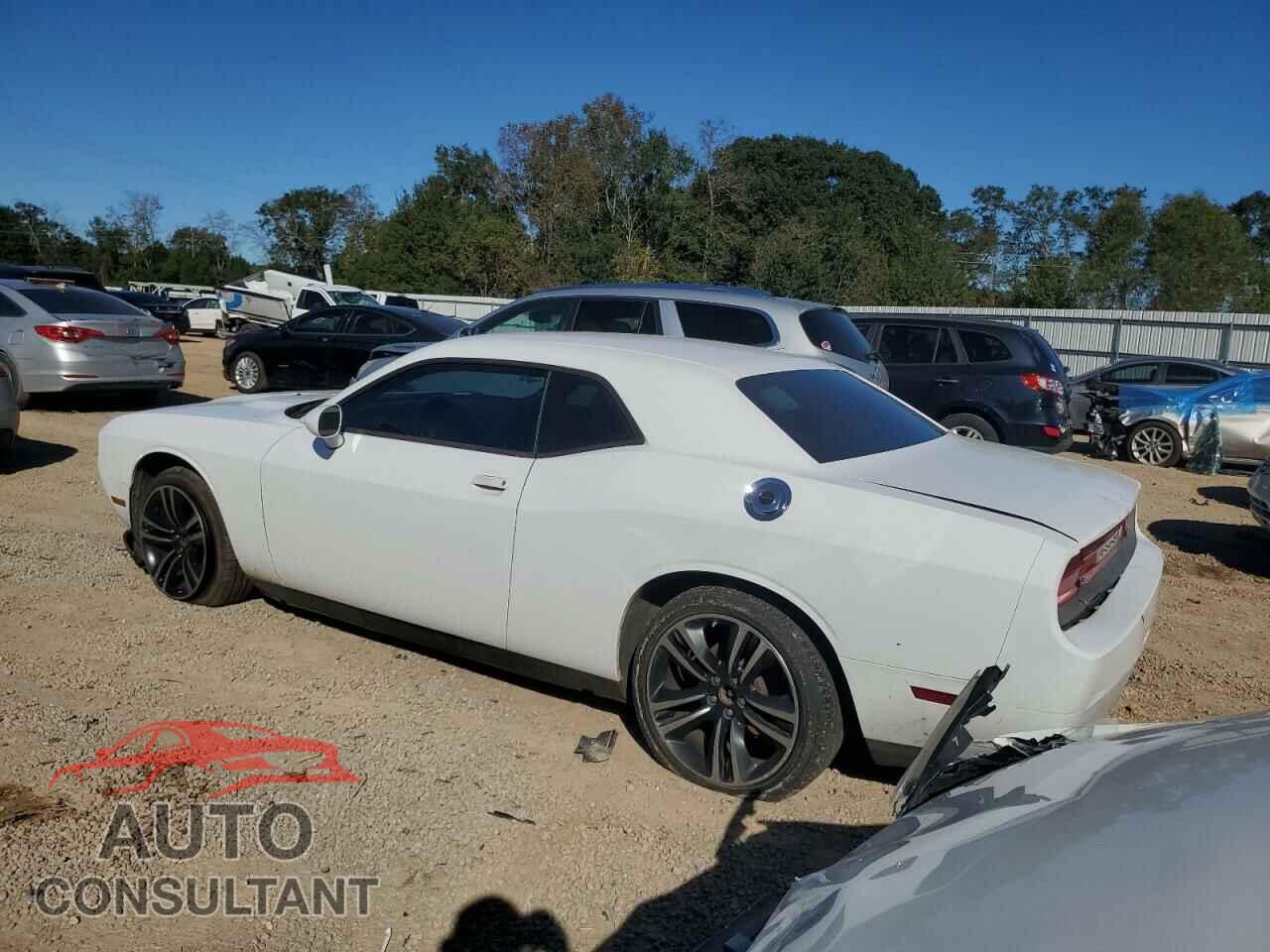 DODGE CHALLENGER 2014 - 2C3CDYAG2EH260760