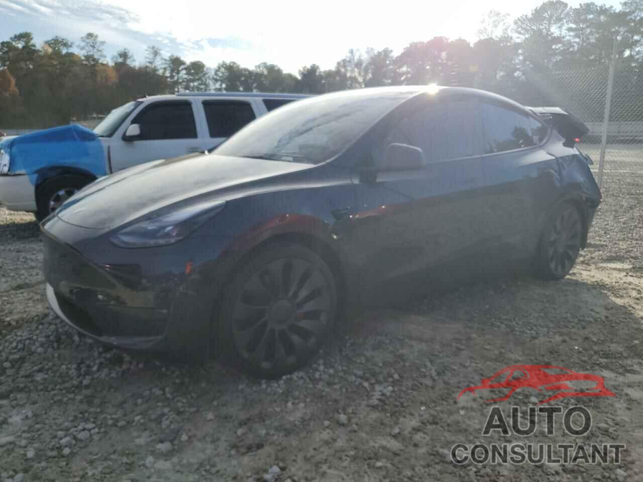 TESLA MODEL Y 2024 - 7SAYGDEF3RA323556