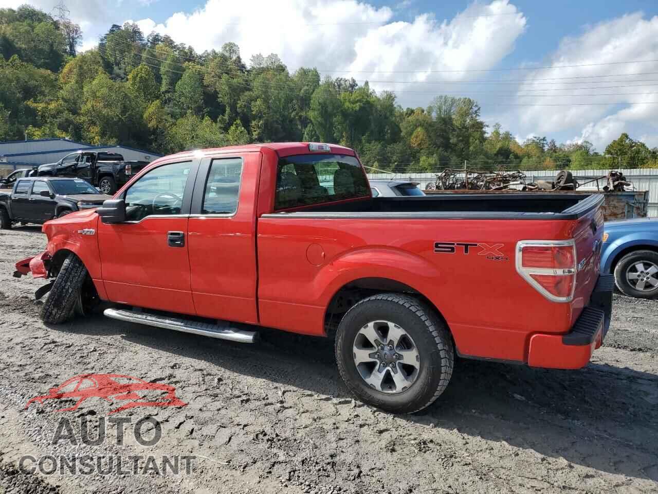 FORD F-150 2013 - 1FTFX1EF2DFD98517