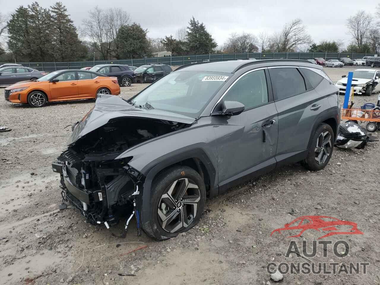 HYUNDAI TUCSON 2024 - 5NMJB3DE3RH420905