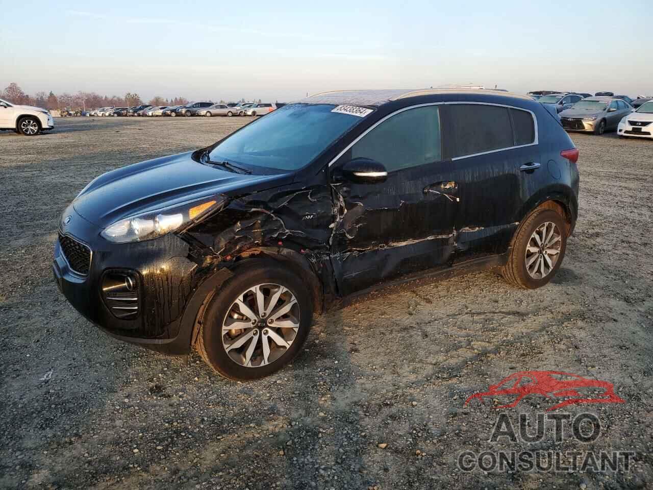 KIA SPORTAGE 2017 - KNDPNCAC5H7206136