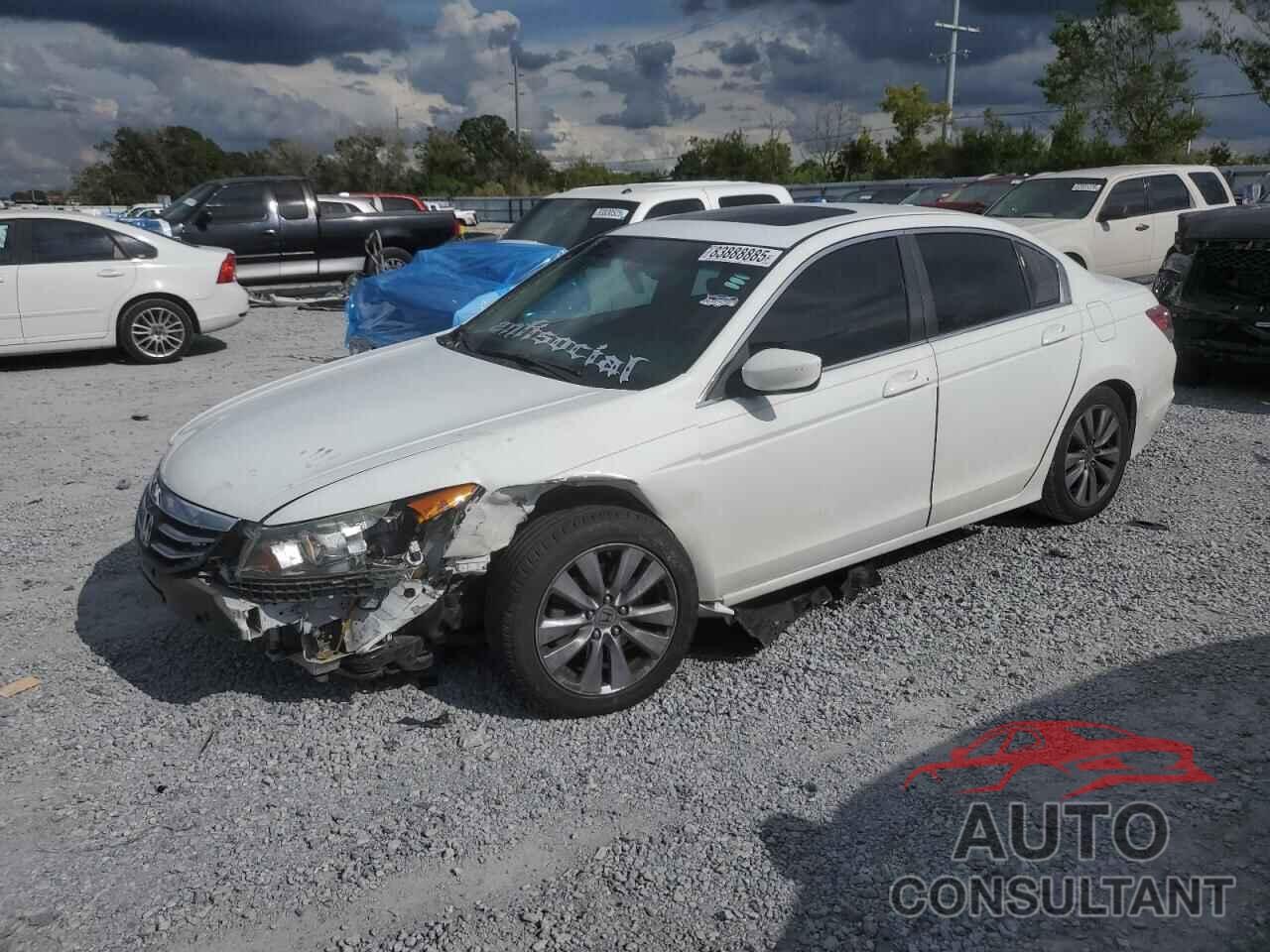 HONDA ACCORD 2011 - 1HGCP2F84BA007551