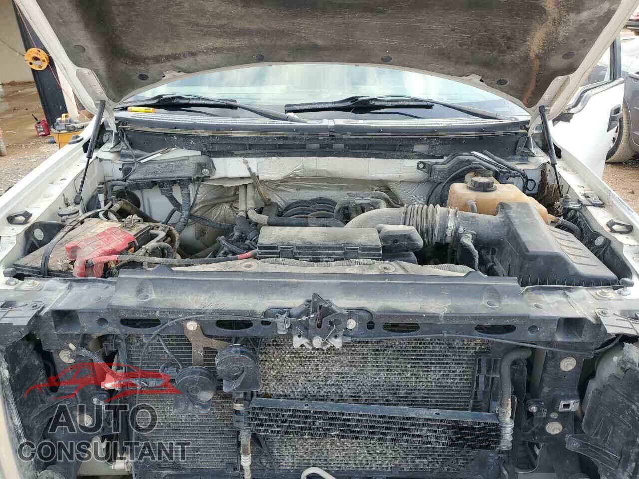 FORD F-150 2012 - 1FTFW1EF3CFB86629