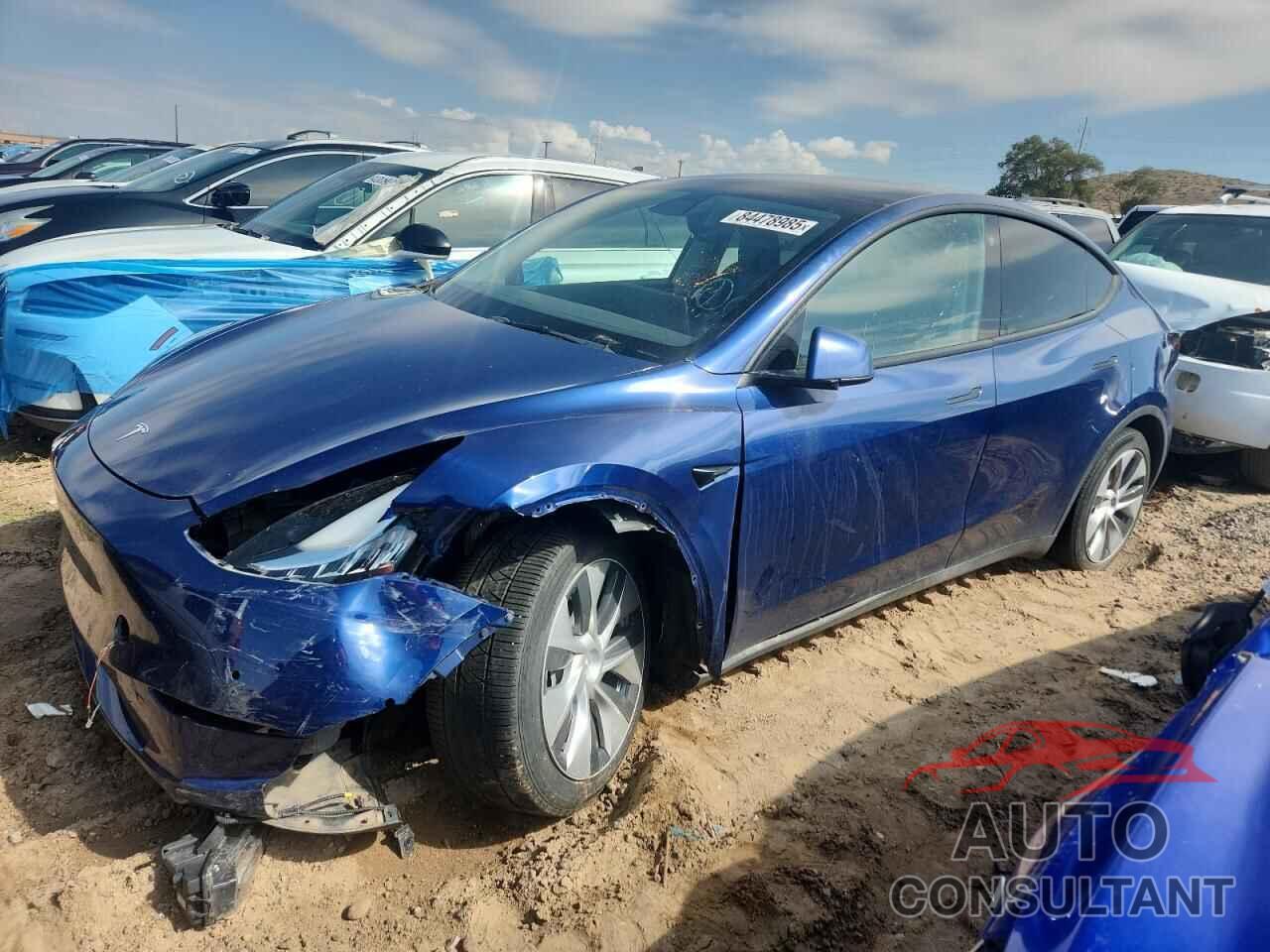 TESLA MODEL Y 2022 - 7SAYGDEE9NF438862