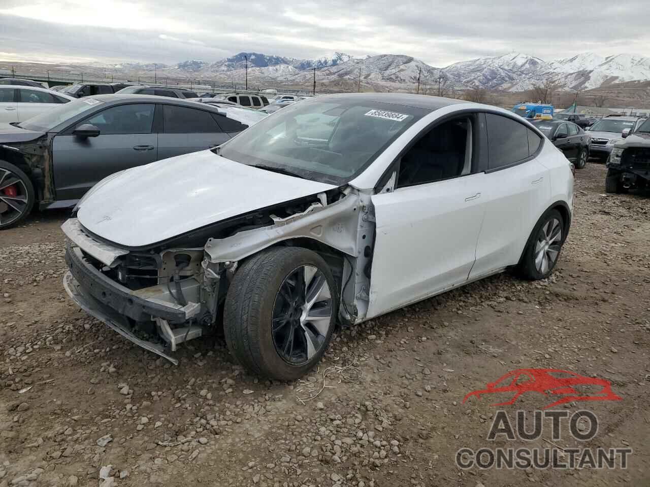 TESLA MODEL Y 2021 - 5YJYGAEE2MF208350