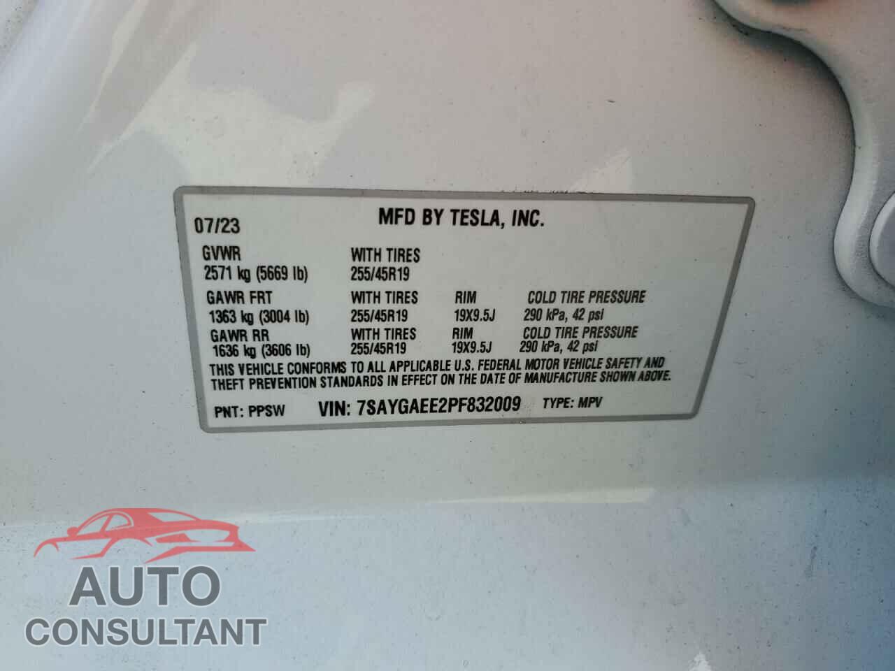 TESLA MODEL Y 2023 - 7SAYGAEE2PF832009