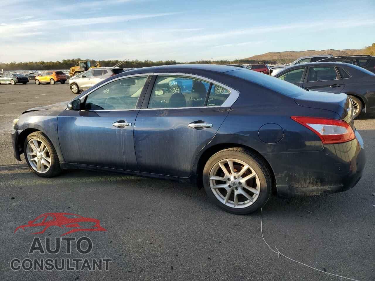 NISSAN MAXIMA 2011 - 1N4AA5AP6BC843959