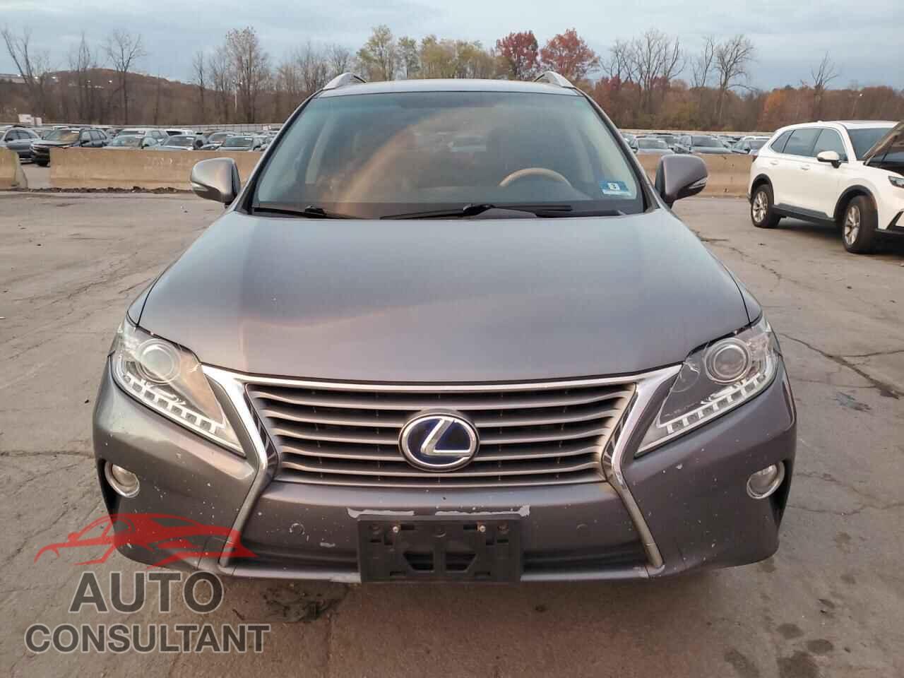LEXUS RX450 2014 - JTJBC1BA4E2067463