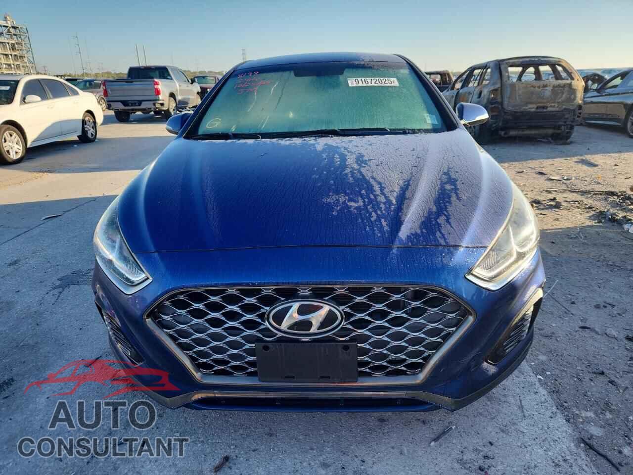 HYUNDAI SONATA 2019 - 5NPE34AFXKH788198