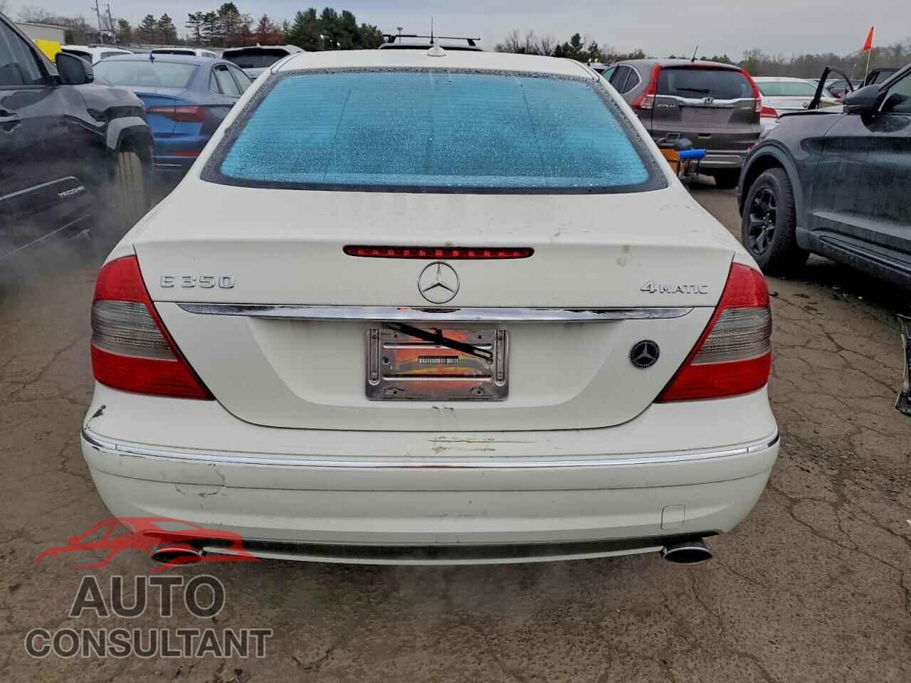 MERCEDES-BENZ E-CLASS 2009 - WDBUF87X29B434910