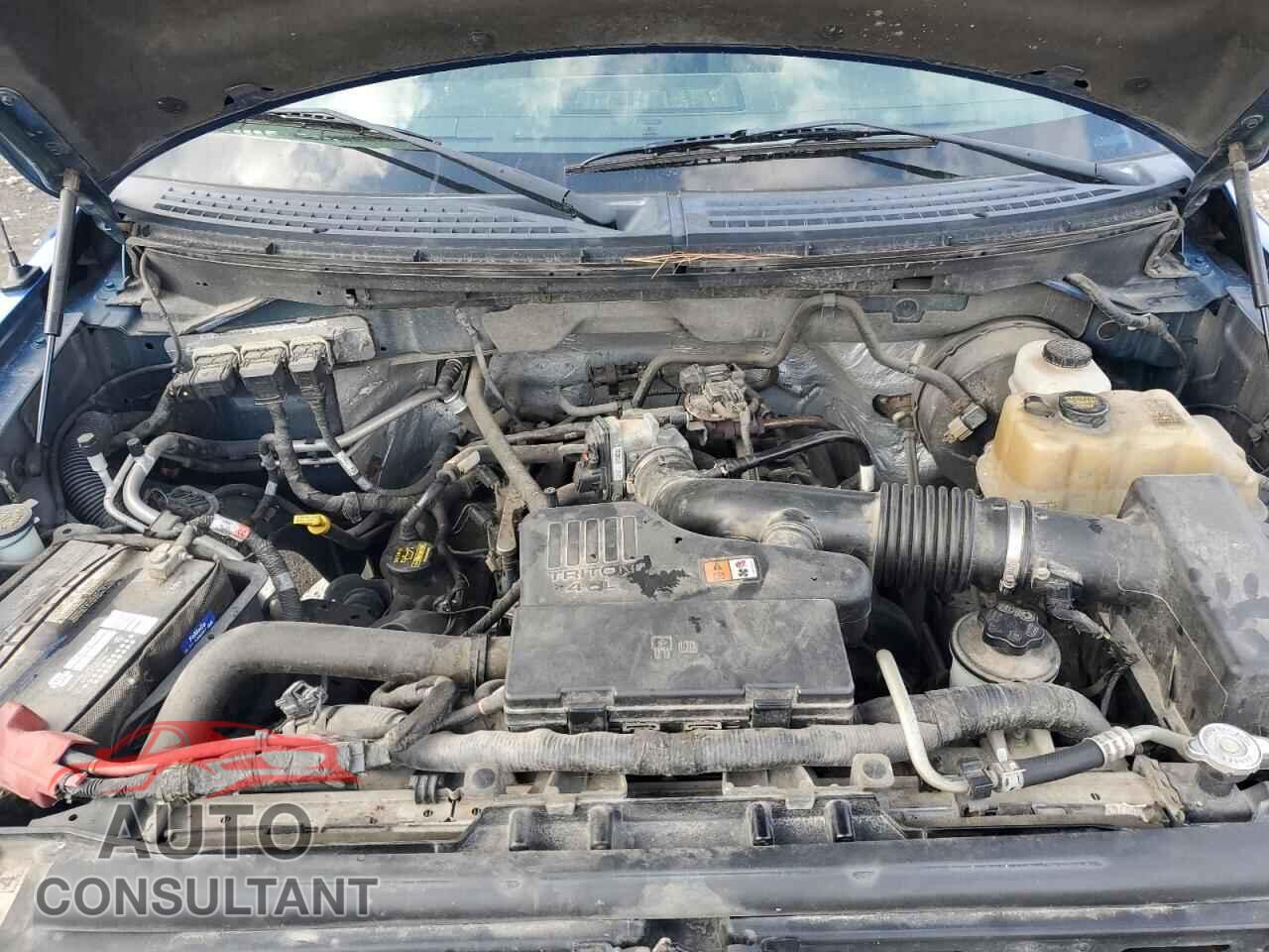 FORD All Models 2010 - 1FTMF1CW6AKE15769