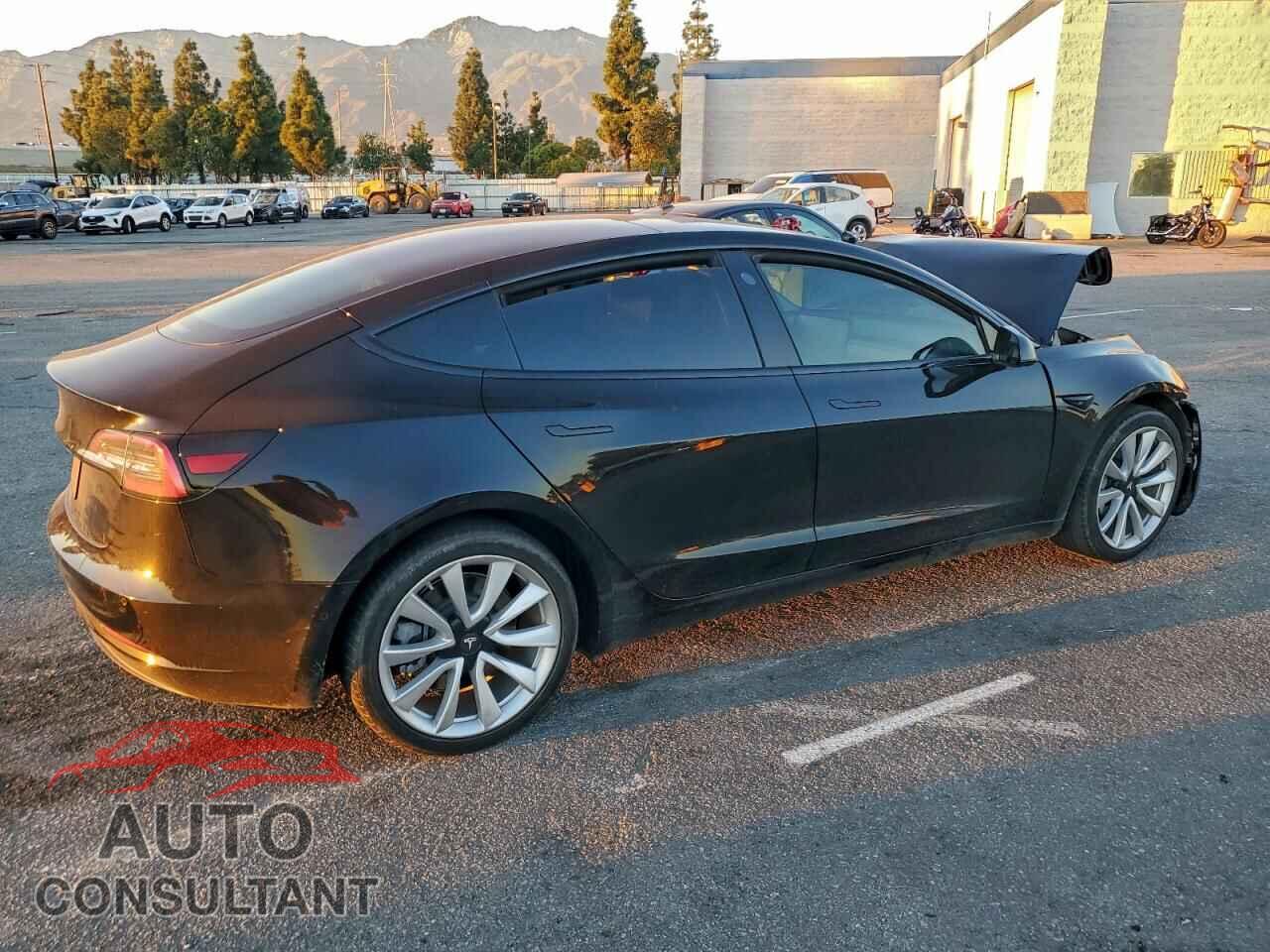 TESLA MODEL 3 2019 - 5YJ3E1EA5KF300479