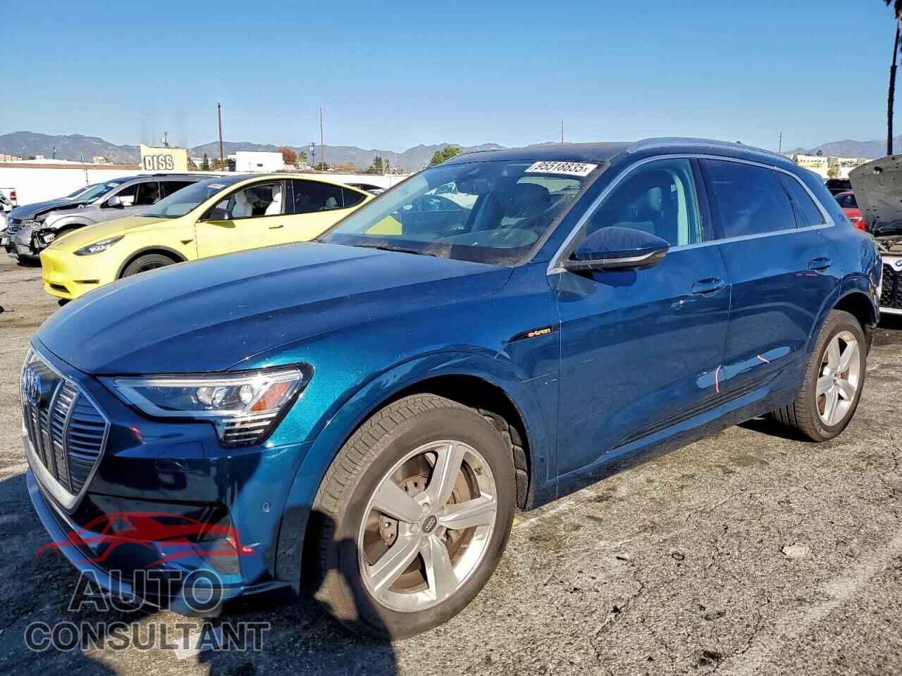 AUDI E-TRON 2019 - WA1LAAGE3KB021217