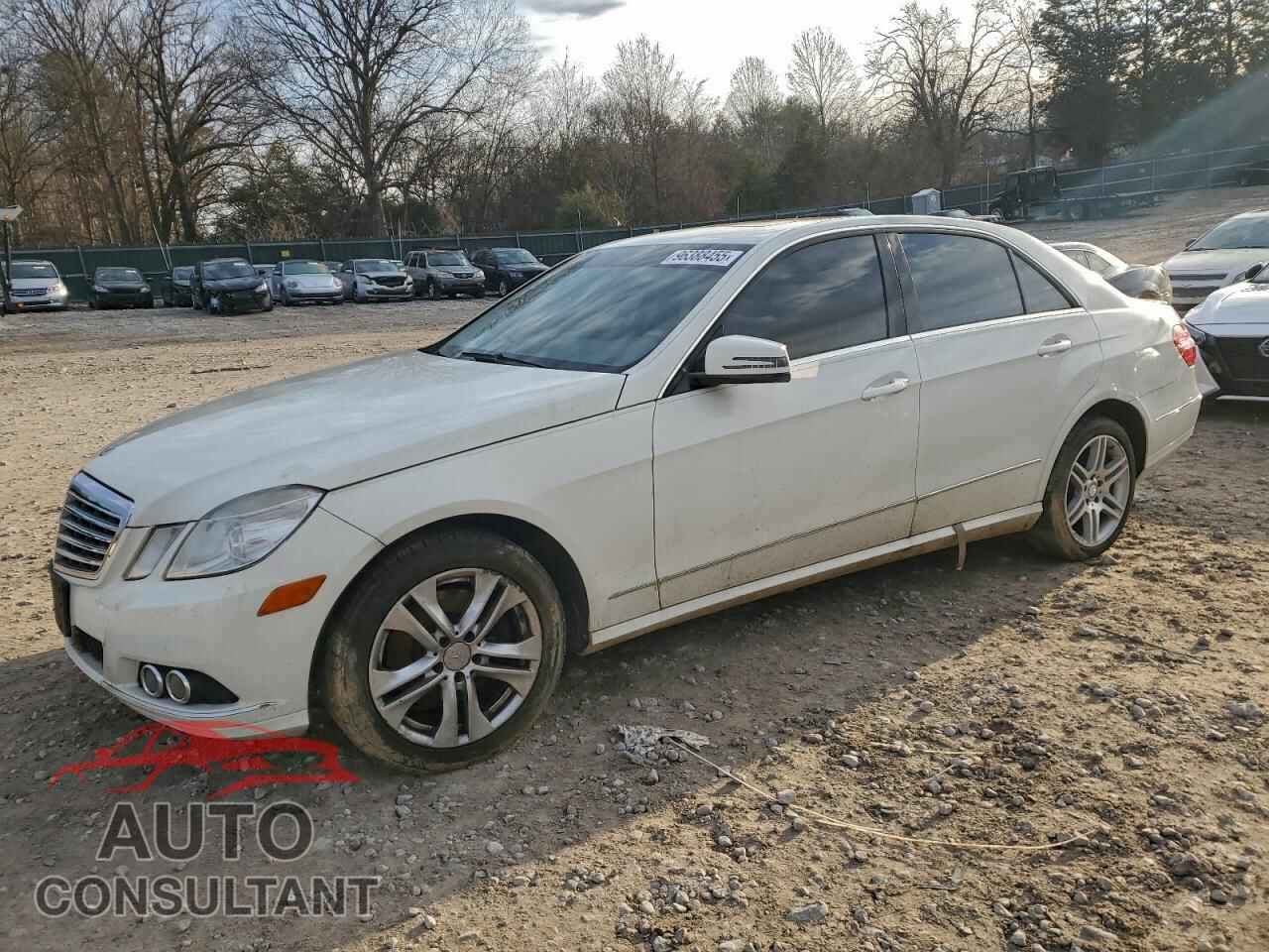 MERCEDES-BENZ E-CLASS 2011 - WDDHF8HB5BA487463