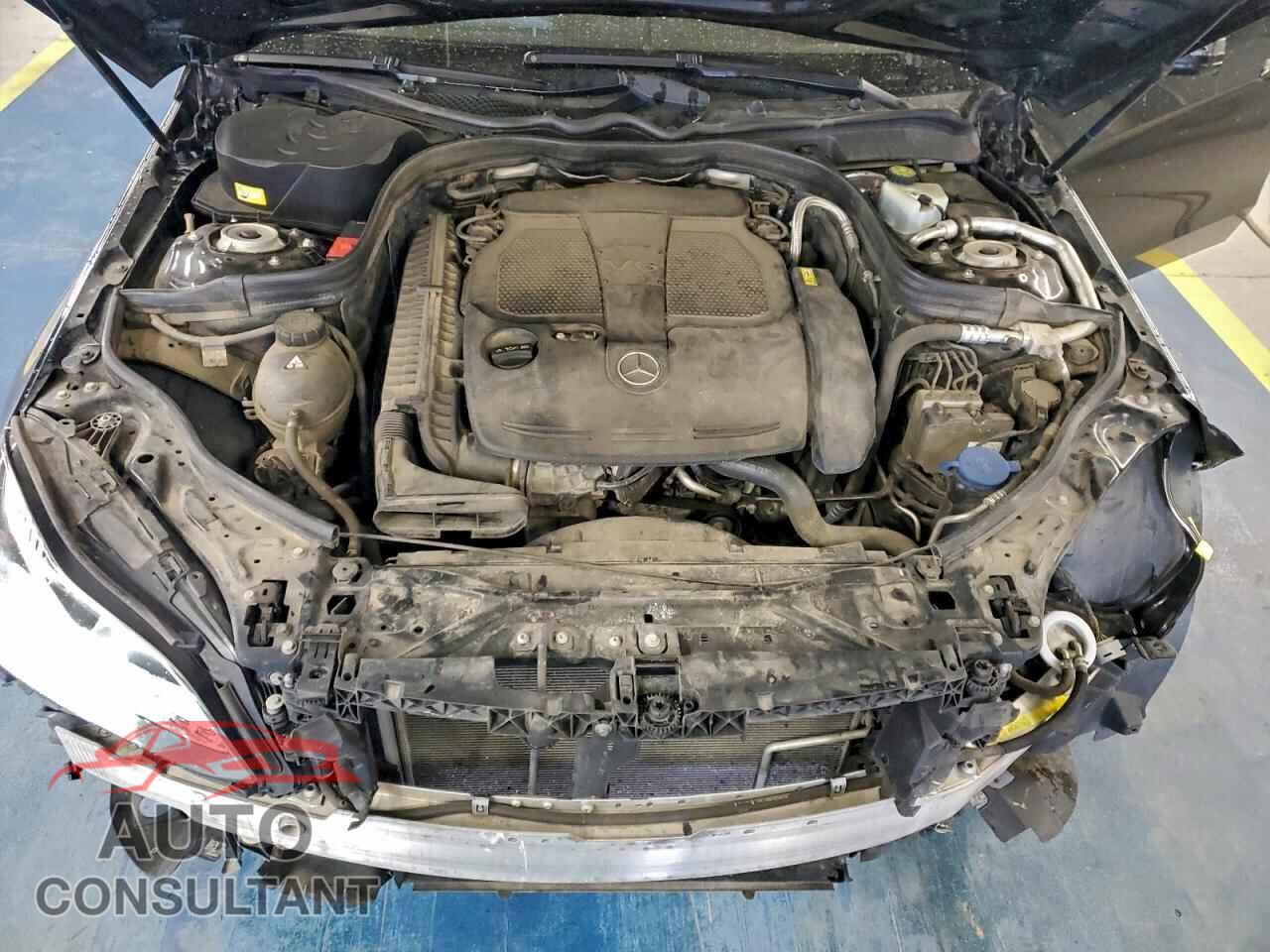 MERCEDES-BENZ E-CLASS 2014 - WDDHF8JB4EA928370