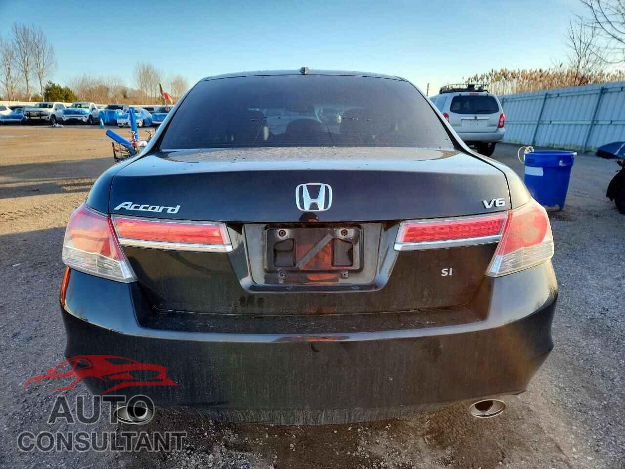HONDA ACCORD 2011 - 1HGCP3F86BA800646