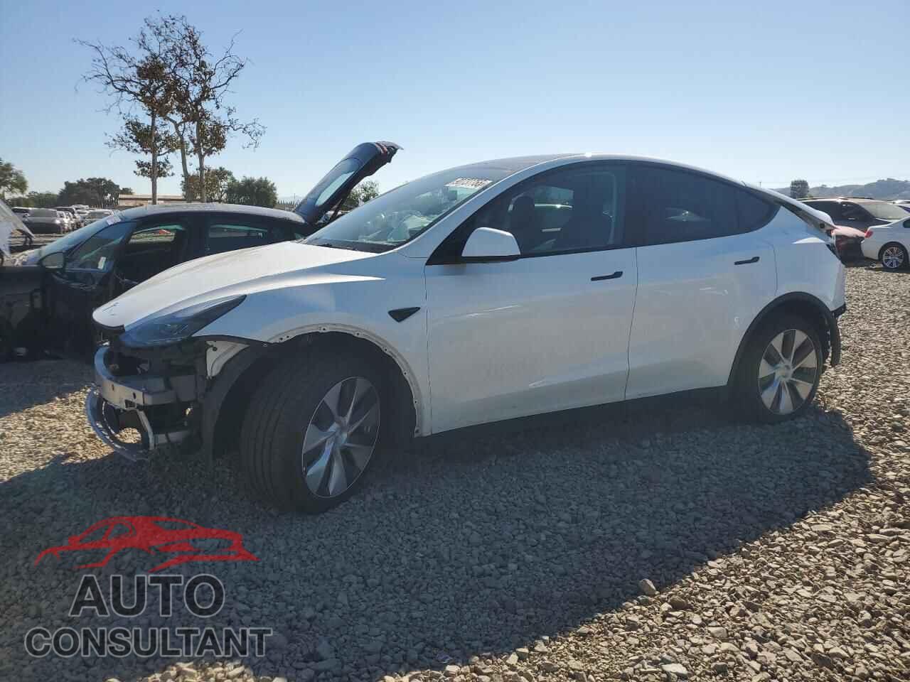 TESLA MODEL Y 2023 - 7SAYGDEEXPF660359