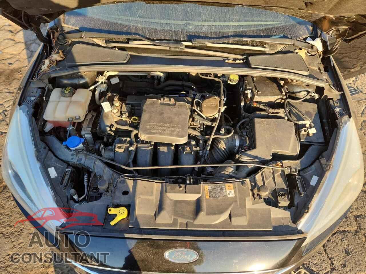 FORD FOCUS 2016 - 1FADP3F29GL319886