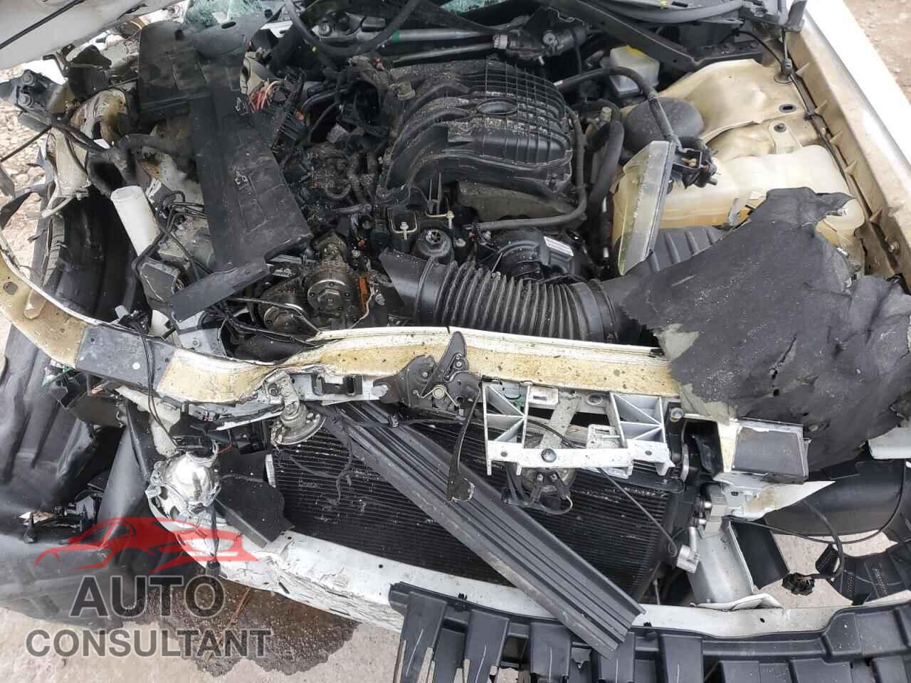 DODGE CHALLENGER 2019 - 2C3CDZGG2KH529493