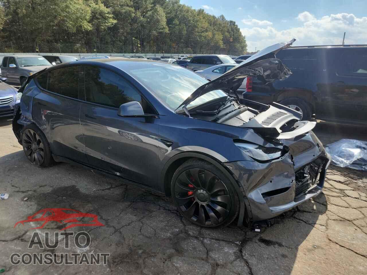TESLA MODEL Y 2022 - 7SAYGDEF3NF394351