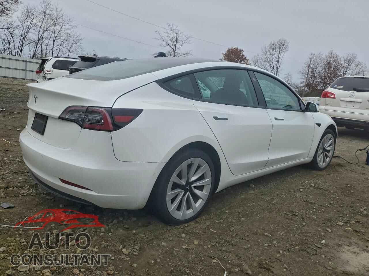 TESLA MODEL 3 2021 - 5YJ3E1EA8MF048231