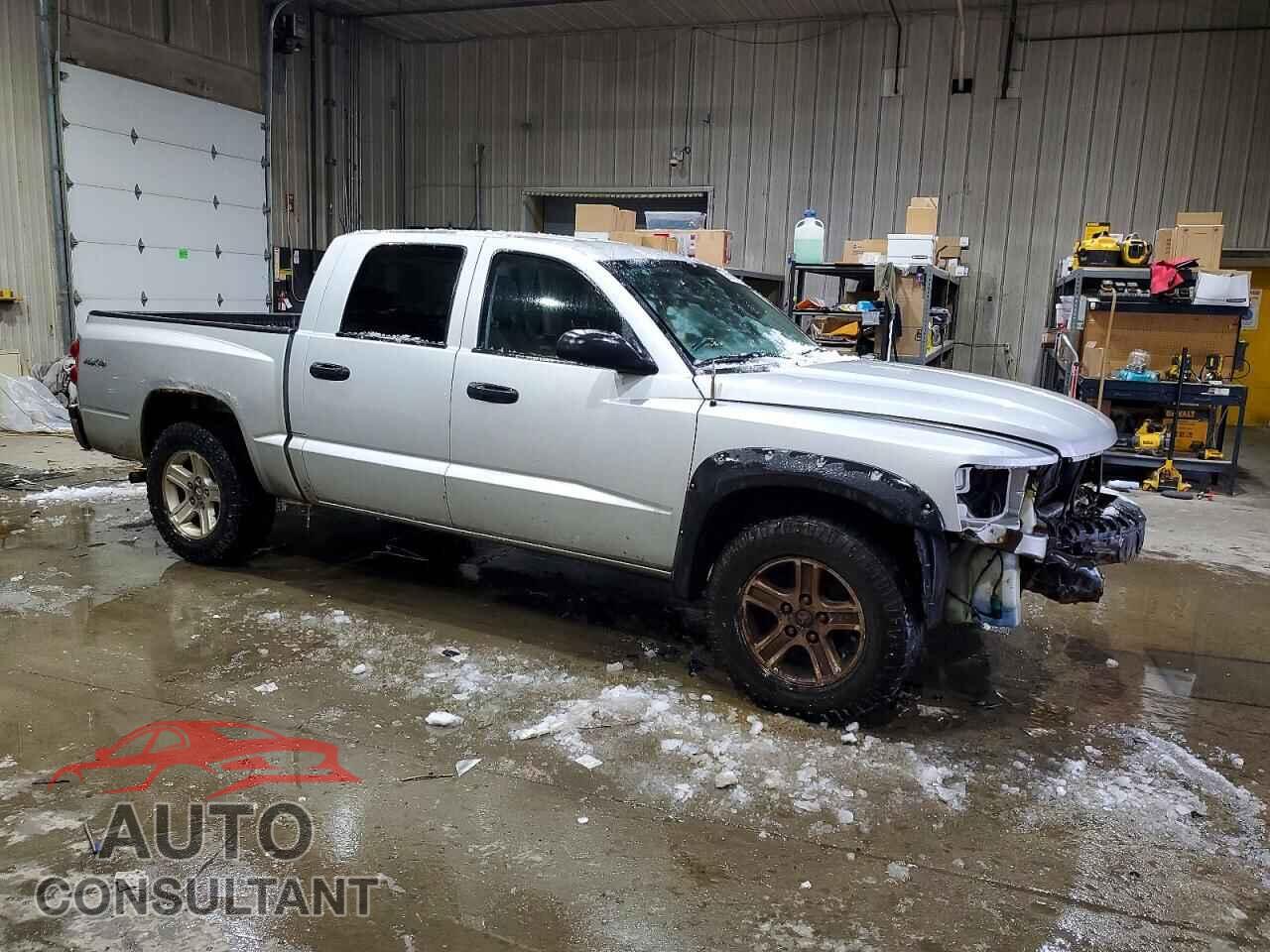 DODGE DAKOTA 2011 - 1D7RW3GK8BS592677