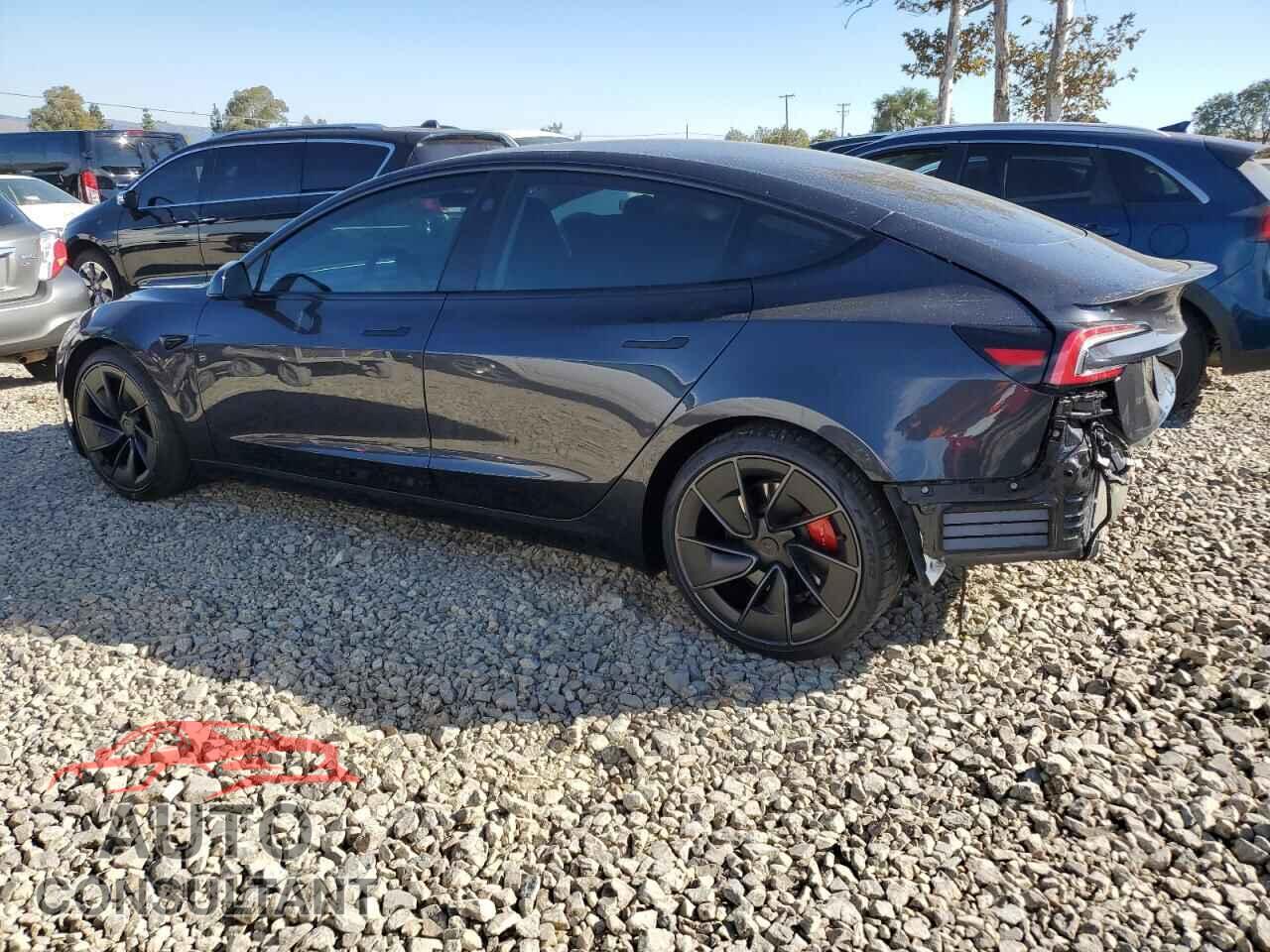 TESLA MODEL 3 2024 - 5YJ3E1ET6RF801232