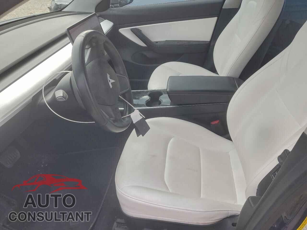 TESLA MODEL 3 2019 - 5YJ3E1EB2KF194985