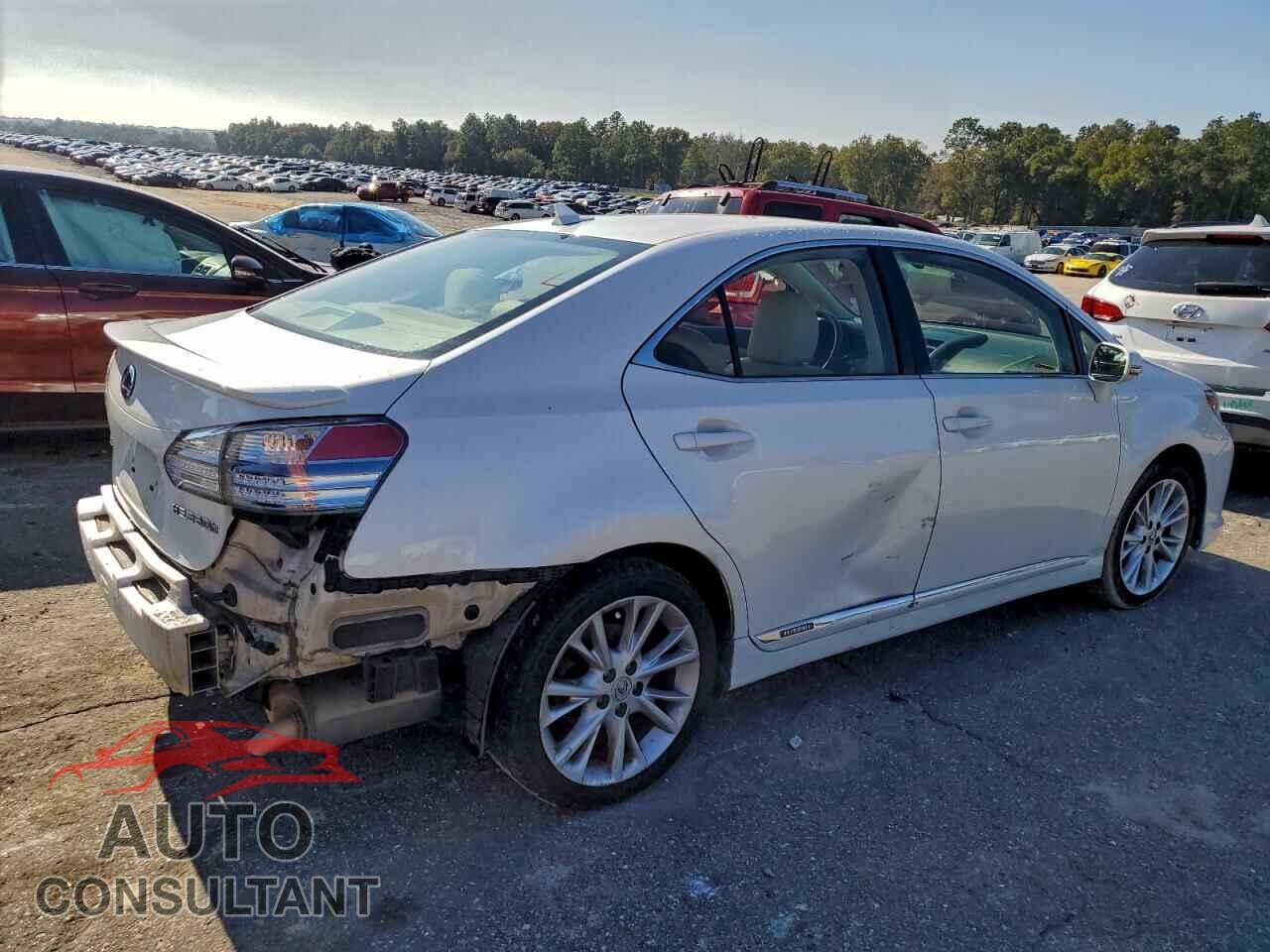 LEXUS HS 2010 - JTHBB1BA0A2008036