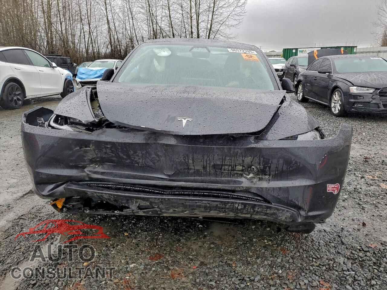 TESLA MODEL 3 2024 - 5YJ3E1EA5RF831479