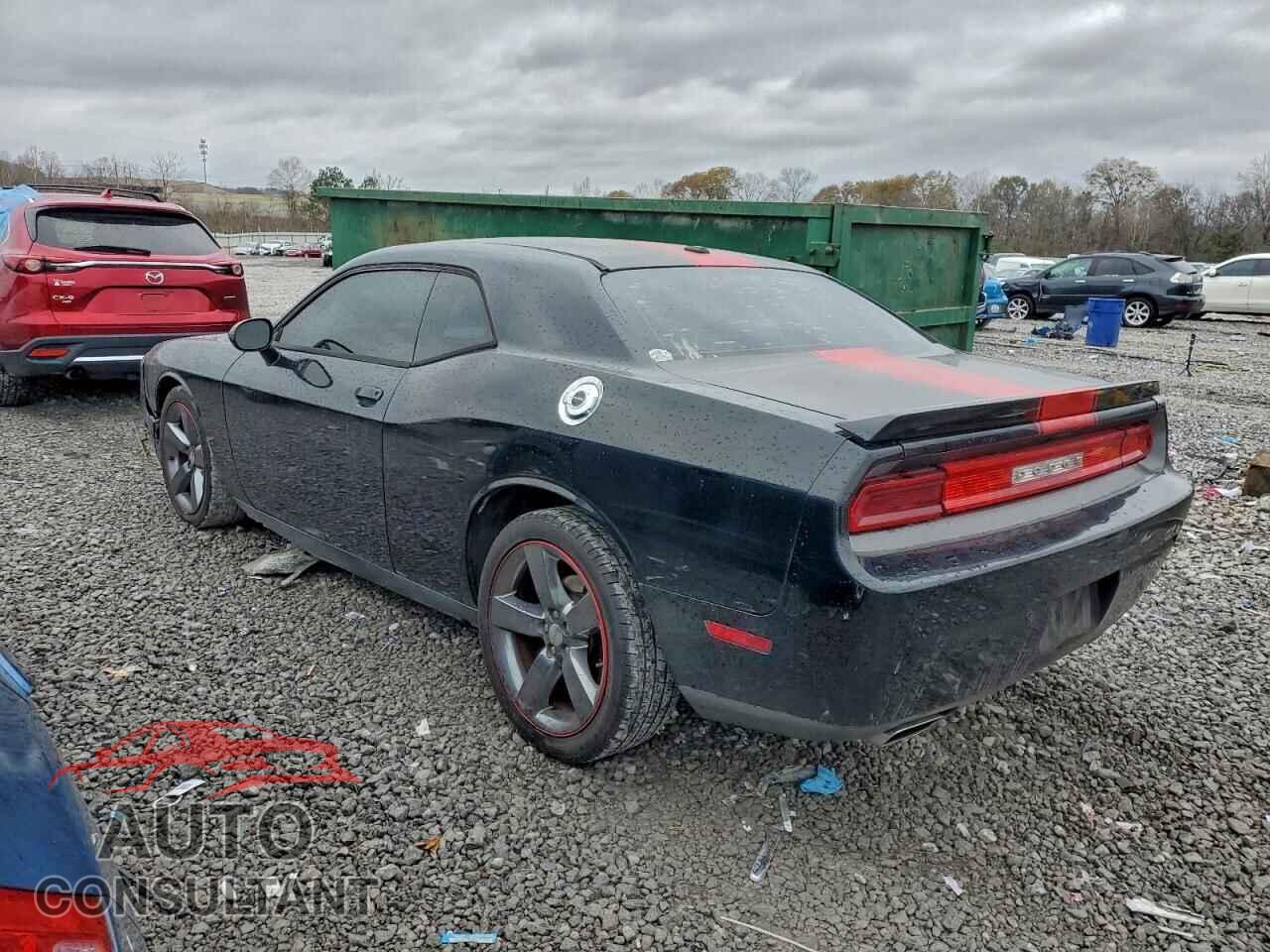 DODGE CHALLENGER 2013 - 2C3CDYAG0DH576995