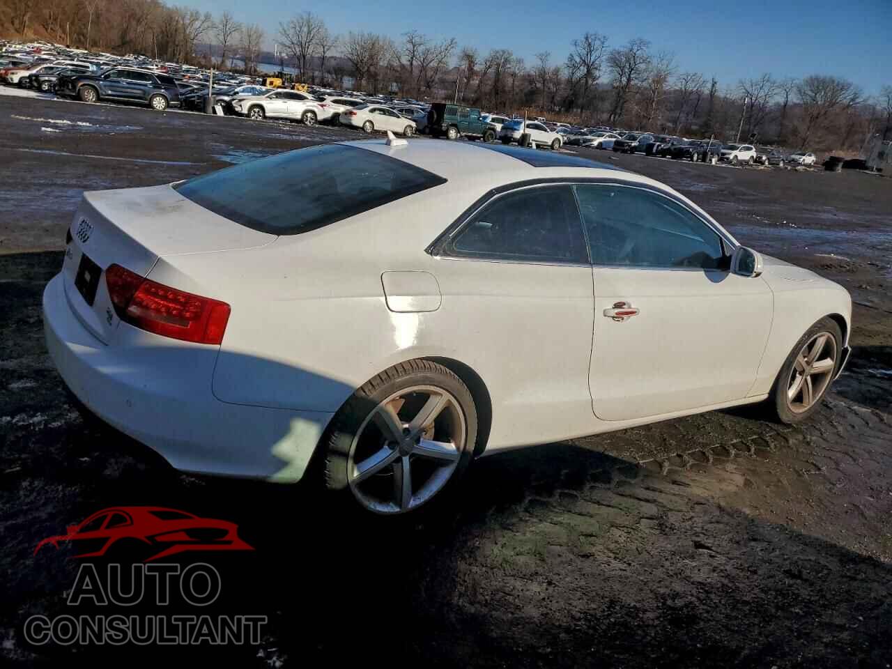 AUDI A5 2010 - WAULFAFR4AA000695