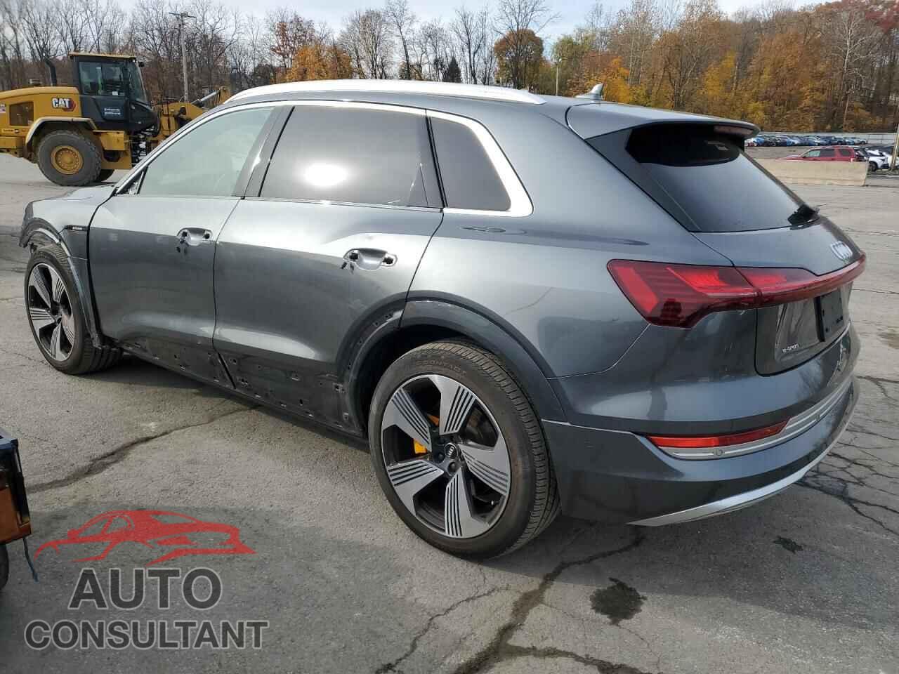 AUDI E-TRON 2019 - WA1VAAGEXKB006545
