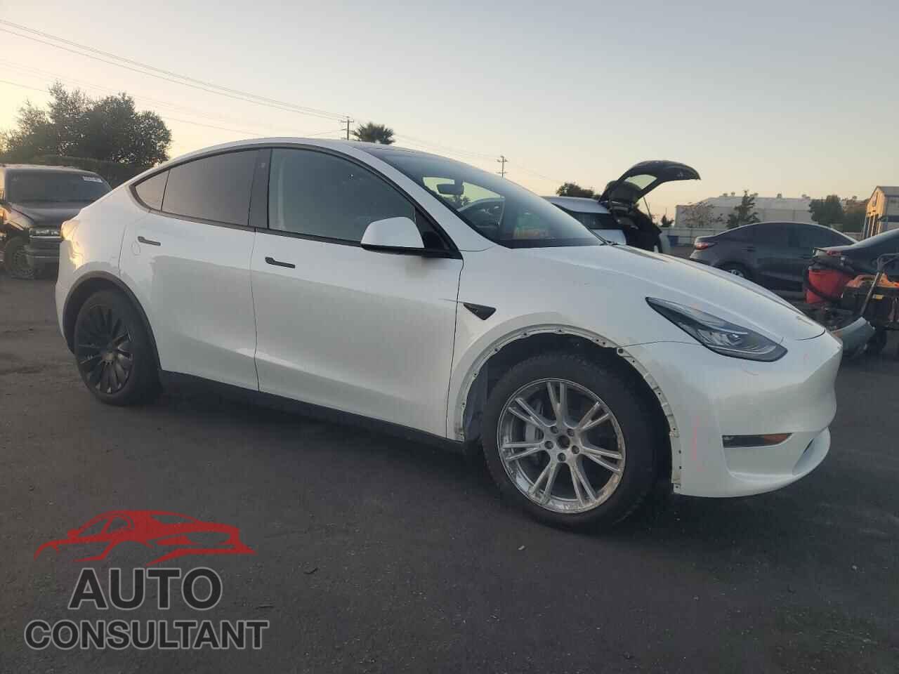 TESLA MODEL Y 2022 - 7SAYGAEE2NF403918