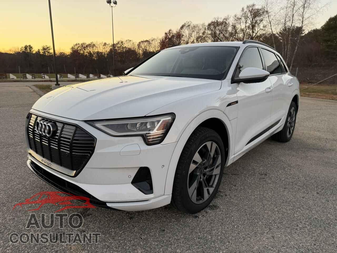 AUDI E-TRON 2021 - WA1AAAGE8M8010286