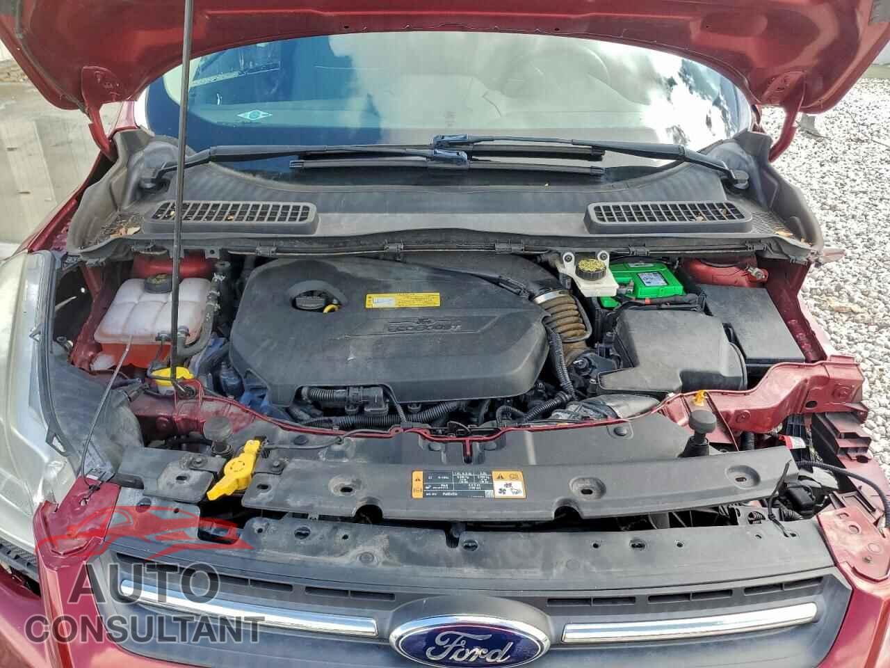 FORD ESCAPE 2014 - 1FMCU0GX0EUA74213