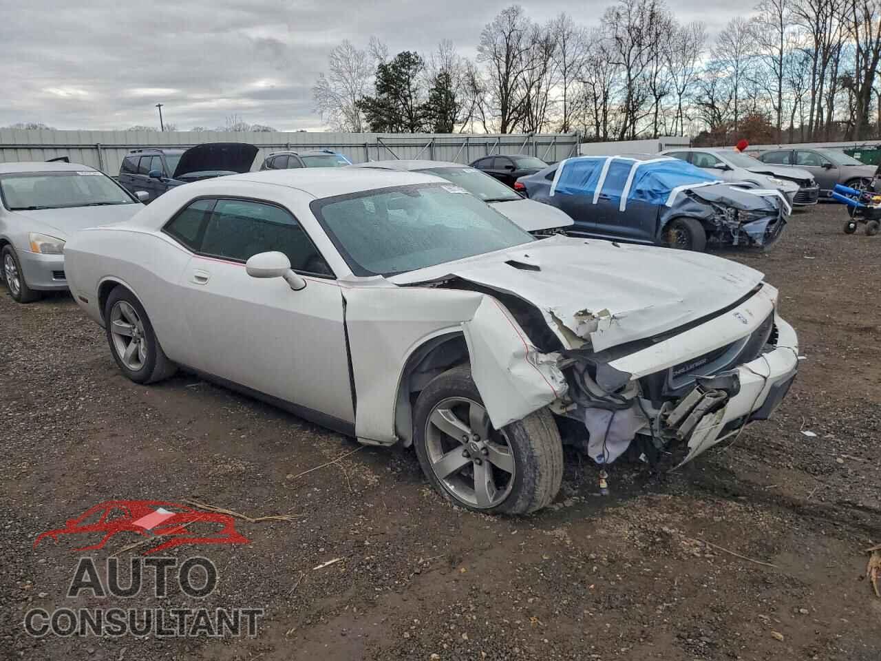 DODGE CHALLENGER 2010 - 2B3CJ4DV1AH322264