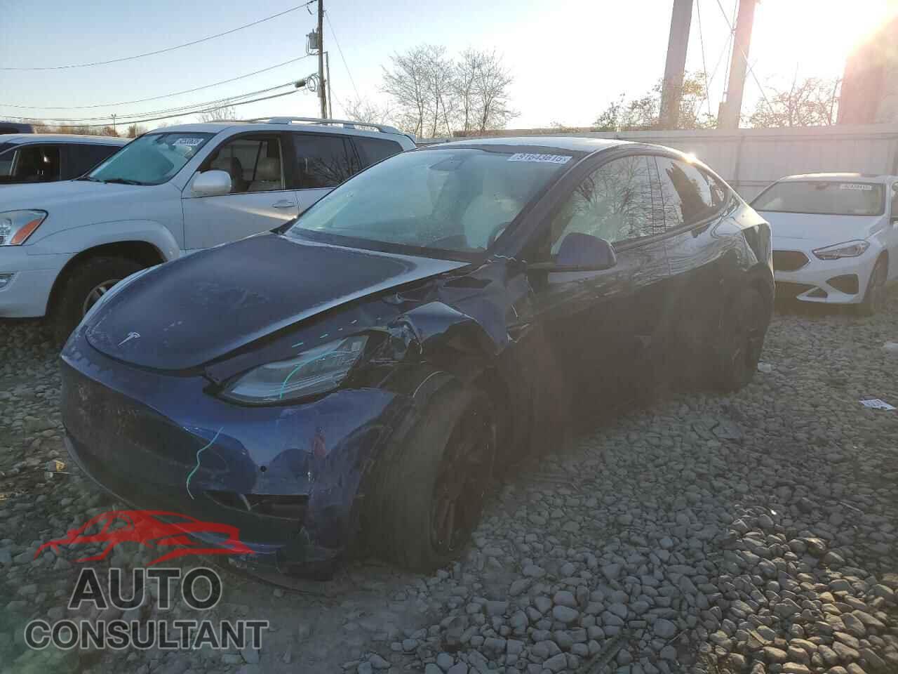 TESLA MODEL Y 2022 - 7SAYGDEE9NF417543