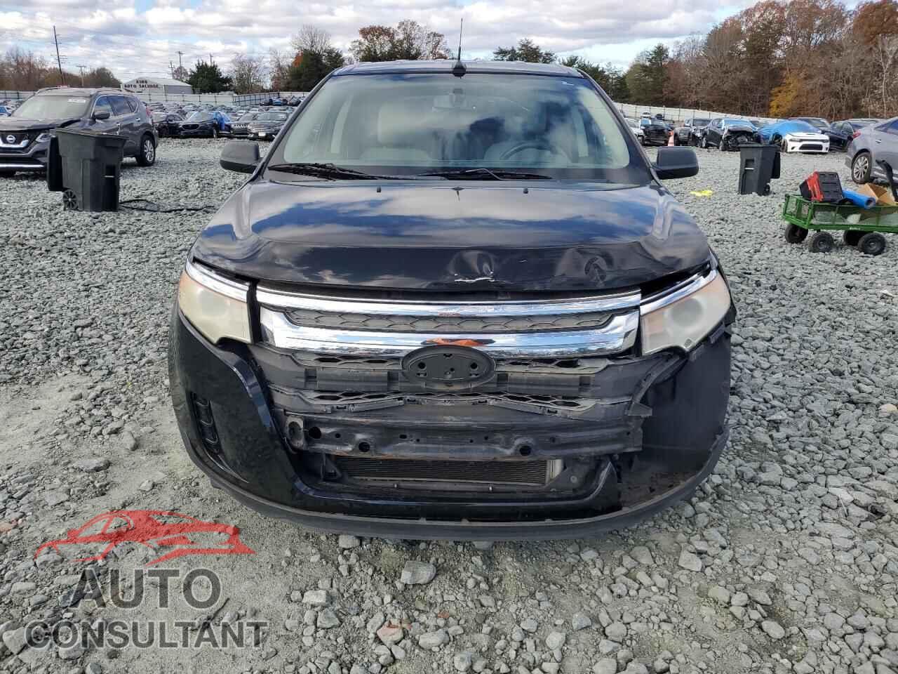 FORD EDGE 2011 - 2FMDK3GC1BBB17161